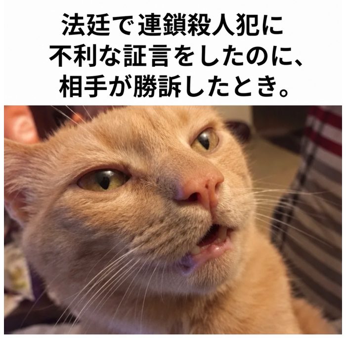 驚きと信じられないといった表情で横を見ているオレンジ色の猫のミーム。連鎖殺人犯に対して証言したのに、彼が無罪になったというシナリオがキャプションされている。