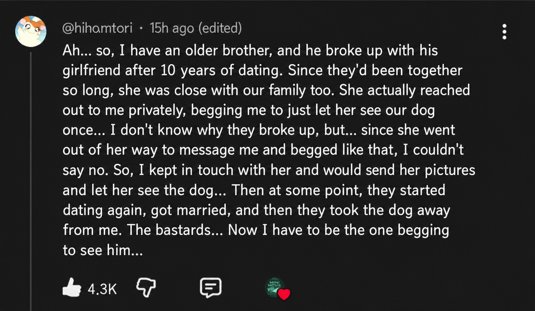 A screenshot of a YouTube comment describing how a man's ex-girlfriend of 10 years kept begging to see his puppy, leading them to reconcile, get married, and then she took the puppy, so now he's the one begging to see it.