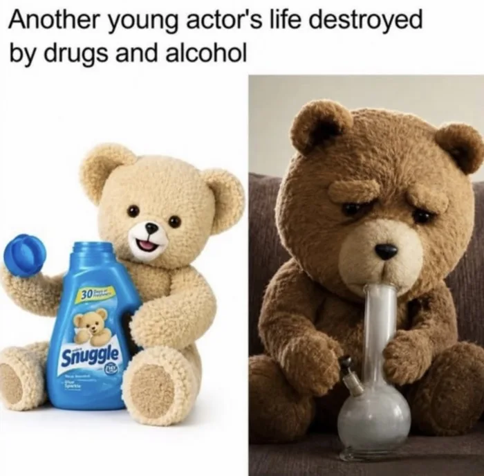 A side-by-side meme comparing the innocent Snuggle fabric softener teddy bear holding detergent to the movie character Ted dejectedly smoking from a bong, captioned 'Another young actor's life destroyed by drugs and alcohol'.