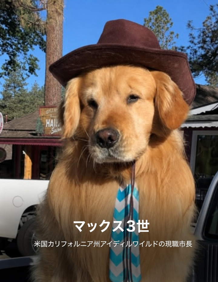 帽子とネクタイを着用した米国カリフォルニア州アイディルワイルドの市長、ゴールデンレトリバーのマックス3世