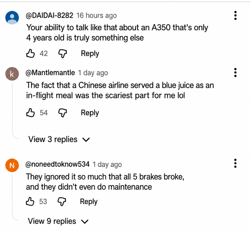Reactions regarding poor maintenance and in-flight meals left in the YouTube video comments section