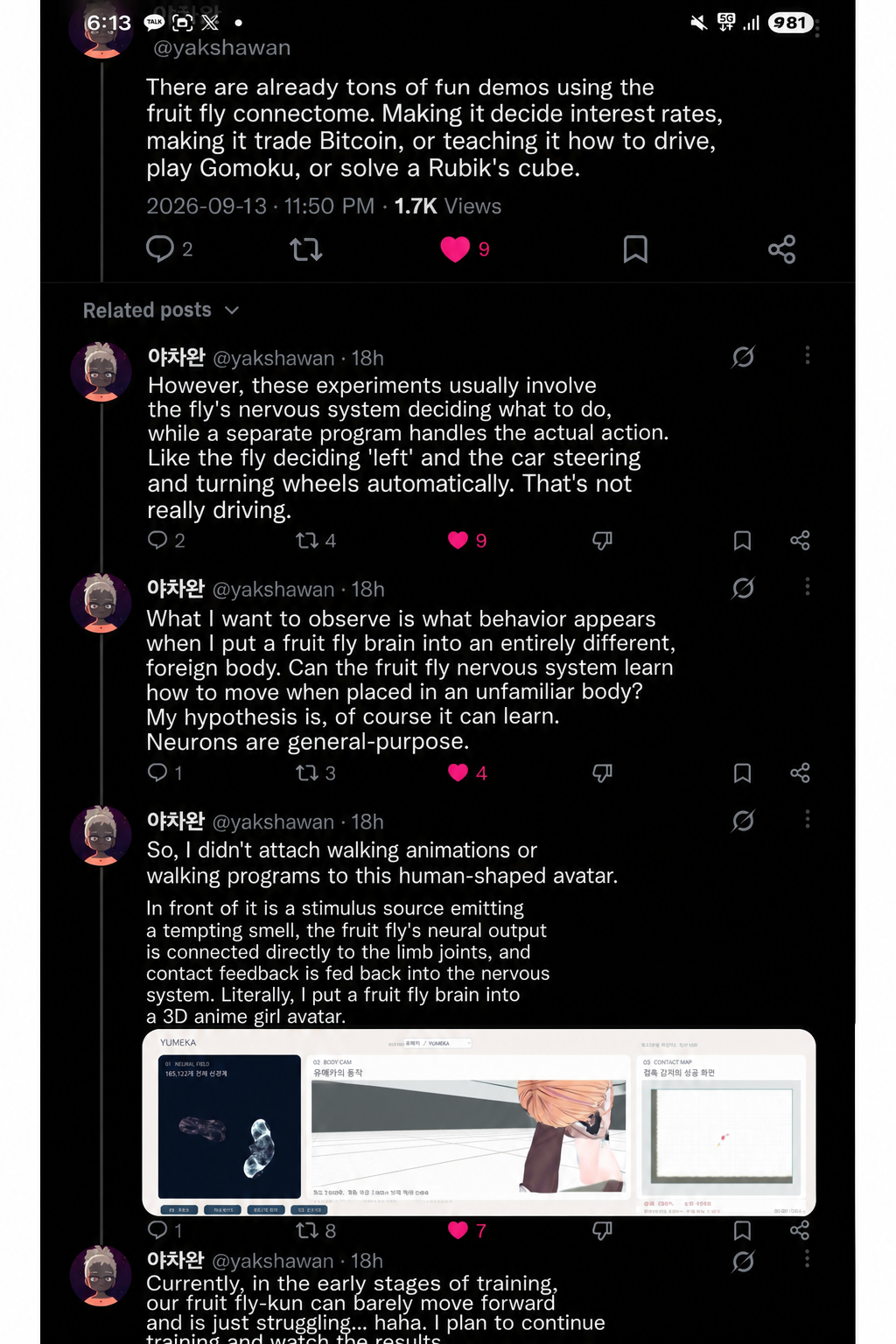 A Twitter post capture describing the process of connecting a fruit fly connectome to a 3D anime girl avatar model and training its movements through neural network output.