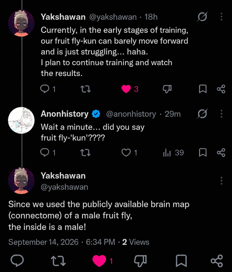 A Twitter reply capture explaining that the fruit fly brain map used in the experiment is that of a male.