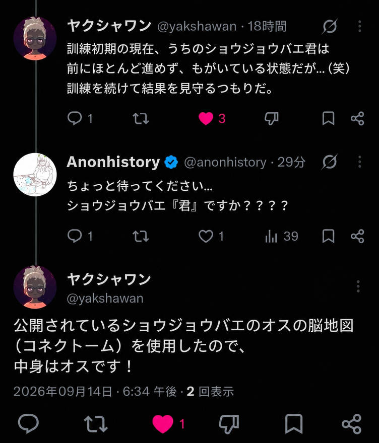 実験に使用されたショウジョウバエの脳地図がオスのものだと回答するツイートの返信キャプチャ