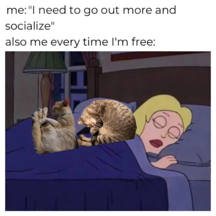 Meme showing a character sleeping peacefully in bed with cats curled up, under the text: me: 'I need to go out more and socialize' also me every time I'm free: