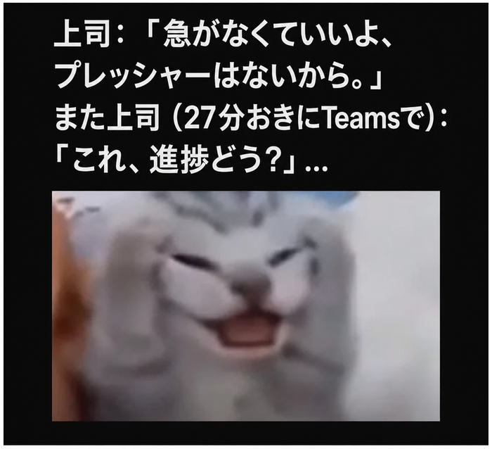 プレッシャーはないと言いながら27分おきに進捗を聞いてくる上司についてのミーム。頭を抱えて絶望している猫の画像。