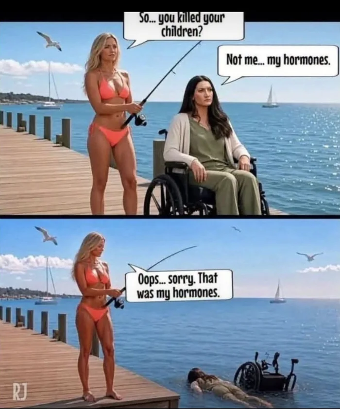 A two-panel comic where a woman in a bikini asks a paralyzed woman in a wheelchair by a pier if she killed her children, who replies 'Not me... my hormones.' In the next panel, the wheelchair is pushed into the sea and the woman says 'Oops... sorry. That was my hormones.'