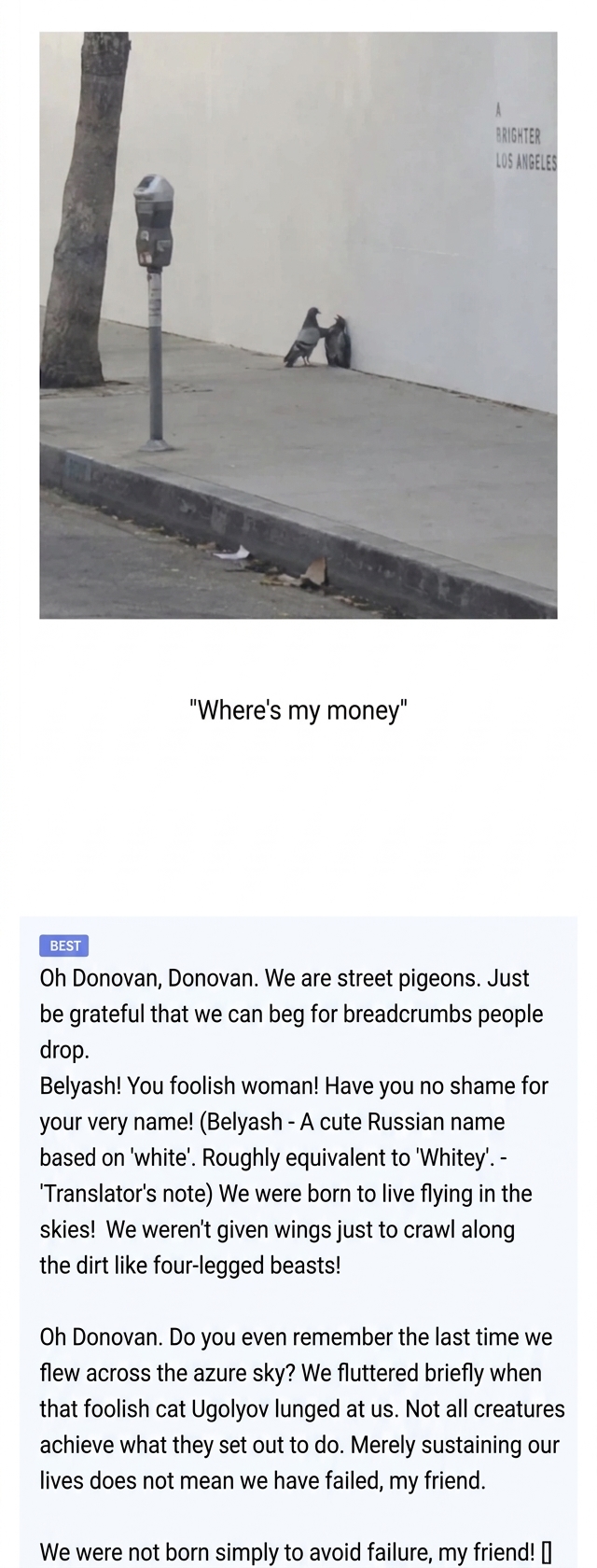 Photo of a pigeon cornering another pigeon against a city wall, followed by a screenshot of an internet comment parodying dramatic Russian literature