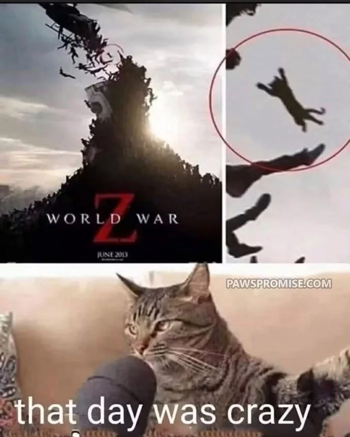 A meme featuring the World War Z movie poster zoomed in on a falling silhouette edited to look like a cat, followed by a cat being interviewed with the caption 'that day was crazy'.