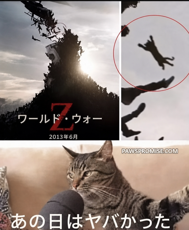 映画『ワールド・ウォー Z』のポスターで落下するシルエットを猫に加工したものと、猫がインタビューを受けていて「あの日はヤバかった」というキャプションがついたミーム画像。
