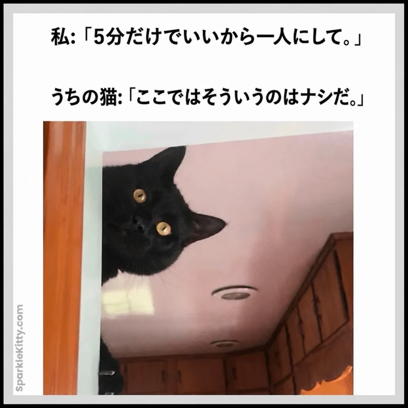 ドアの隙間から逆さまに顔を覗かせている黒猫のミーム。一人になりたいという会話が添えられている。