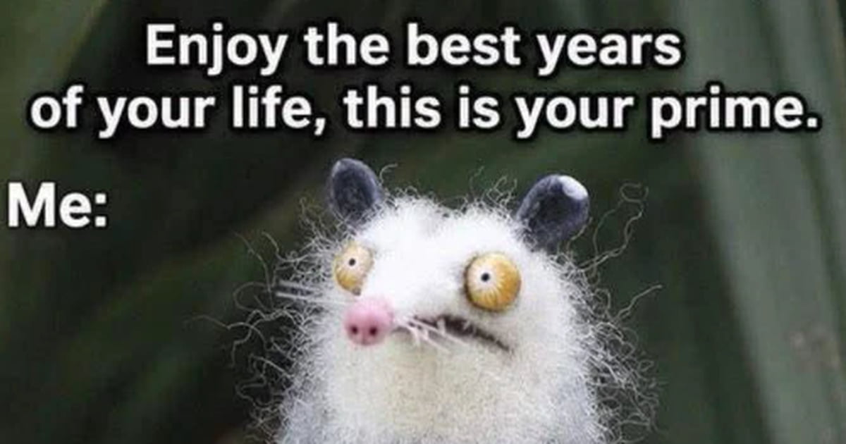 Meme featuring text 'Enjoy the best years of your life, this is your prime. Me:' above a disheveled, wide-eyed opossum looking stressed.