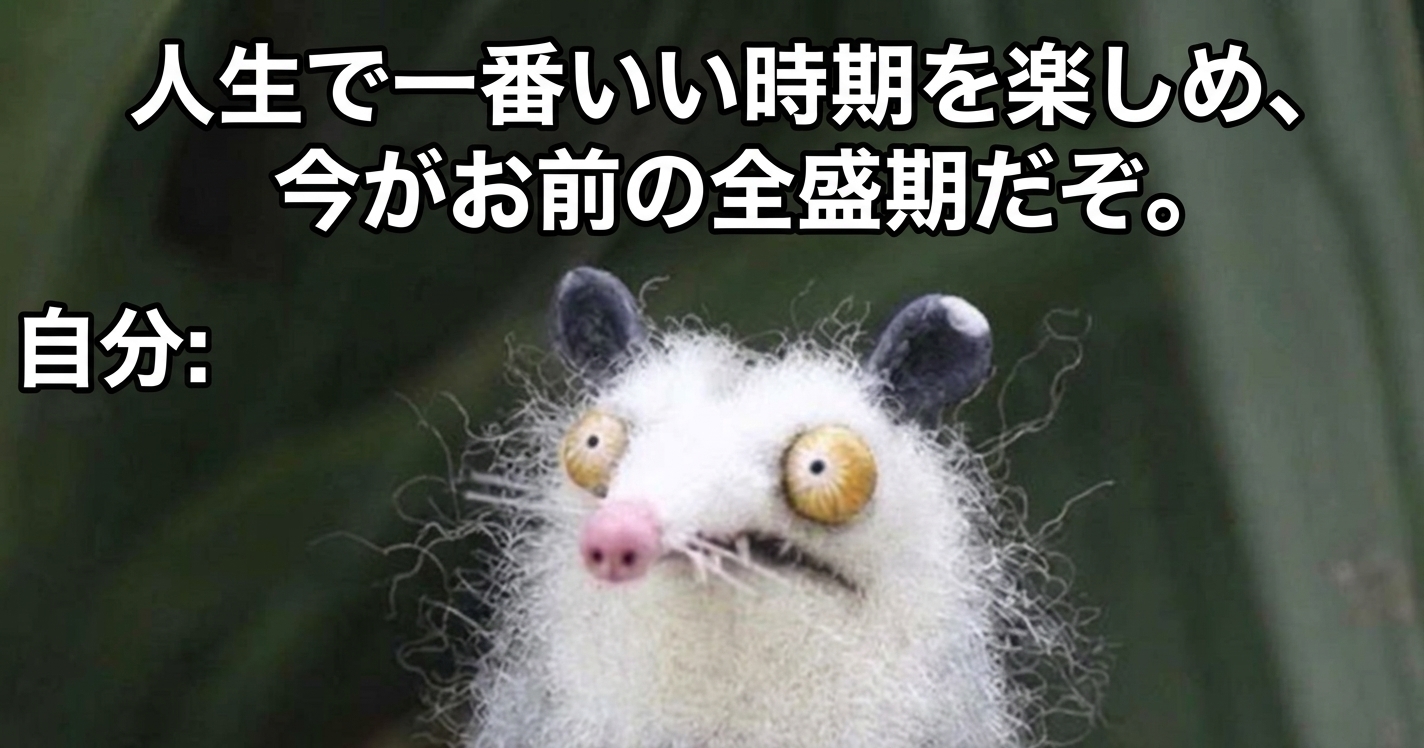 「人生の全盛期を楽しめ」というテキストの下に、ボサボサの毛と見開いた目をした疲れ果てた表情のポッサムのぬいぐるみが写っているミーム画像。