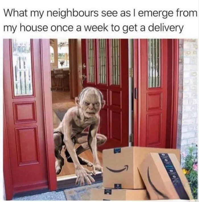 Meme showing Gollum crawling out through a front door toward Amazon delivery boxes, with text reading: What my neighbours see as I emerge from my house once a week to get a delivery.