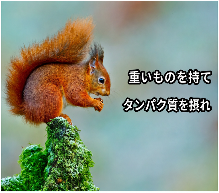 苔むした枝の上で「重いものを持て、タンパク質を摂れ」という文字が書かれた小さな赤いリス。