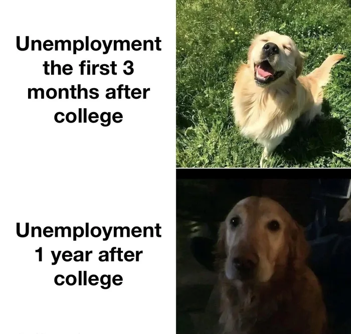 A two-panel meme contrasting a happy golden retriever in the sun with text 'Unemployment the first 3 months after college' versus a sad, worried golden retriever in a dark room with text 'Unemployment 1 year after college'.