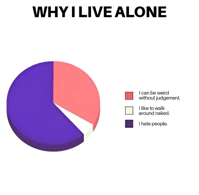 Pie chart titled 'WHY I LIVE ALONE' showing three reasons: 'I can be weird without judgement', 'I like to walk around naked', and the largest slice, 'I hate people.'
