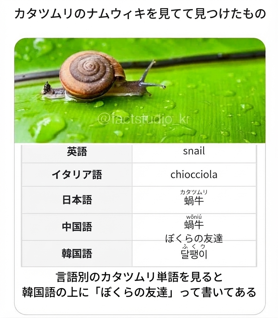 緑の葉の上のカタツムリの写真の下に、各言語でのカタツムリの表記一覧表があり、韓国語の項目「달팽이（カタツムリ）」の上に小さな文字で「ぼくらの友達」と書かれているスクリーンショット画像