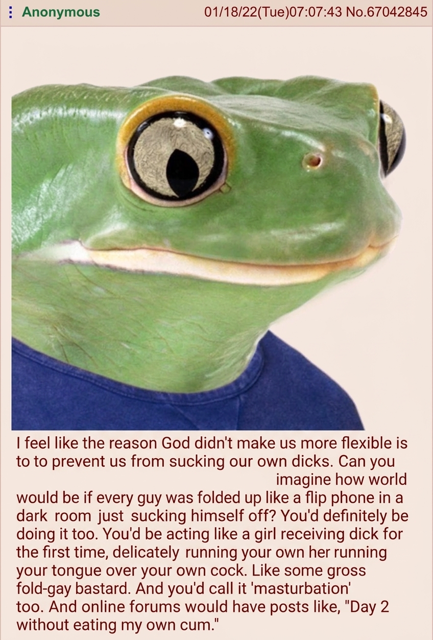 A screenshot of a 4chan translation post about why God created men inflexible, featuring a close-up photo of a frog.