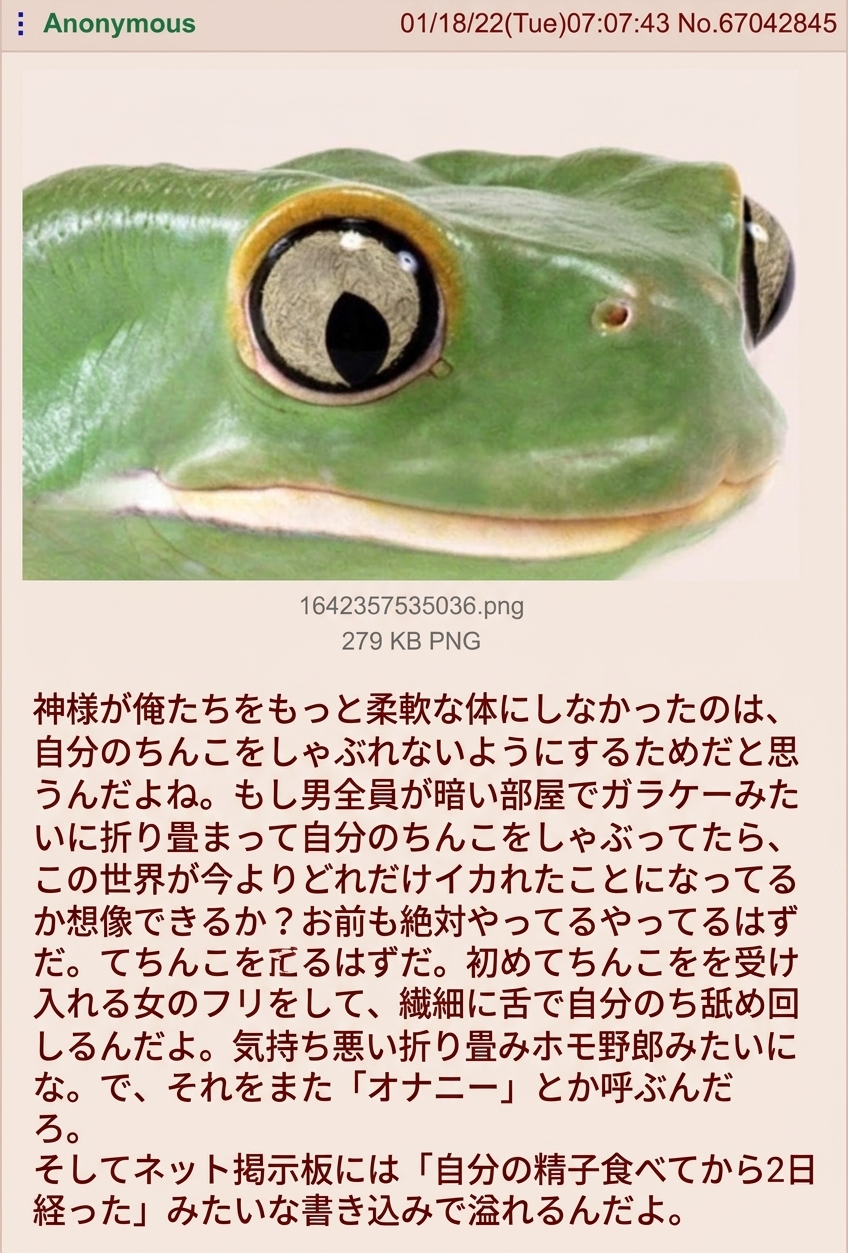 カエルのクローズアップ写真と共に、神が男性を柔軟に作らなかった理由が書かれた4chanの翻訳投稿のスクリーンショット