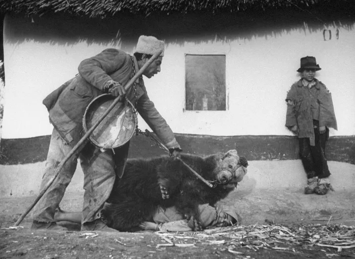 Vintage black and white photograph showing a man holding a chained bear as it lies atop a woman lying on the ground, with an onlooker leaning against a rural house wall.