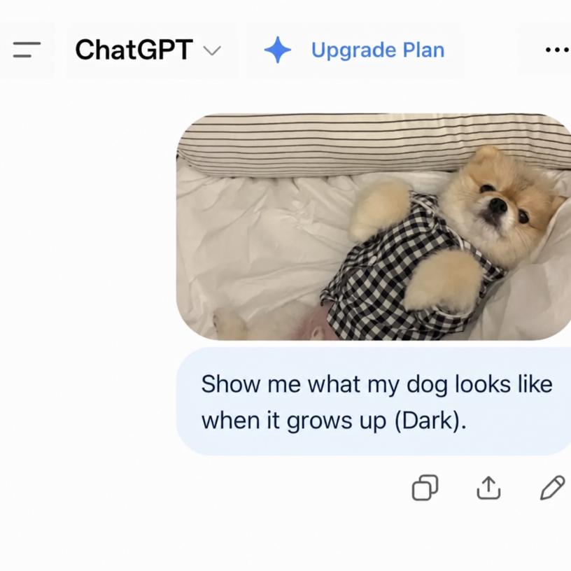 A ChatGPT chat screen showing a photo of a light-colored puppy lying down with the message 'Show me what my dog looks like when it grows up (Dark).'