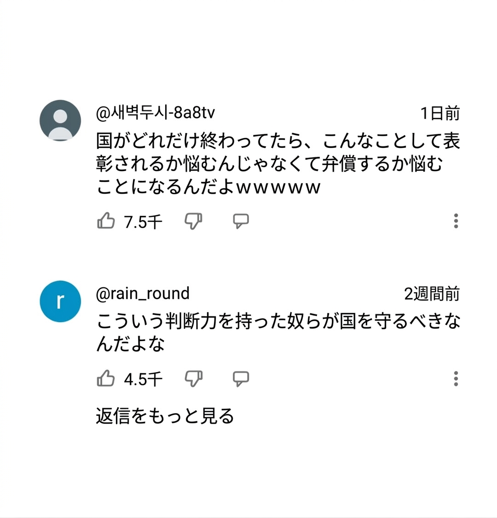 表彰されることではなく賠償を真っ先に心配しなければならない現実を嘆き、こういう判断力を持つ人が国を守るべきだというYouTubeのコメント反応のキャプチャ