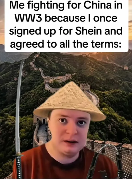 A meme showing a person edited with a conical straw hat, katana, and nunchucks in front of the Great Wall of China, captioned: 'Me fighting for China in WW3 because I once signed up for Shein and agreed to all the terms:'