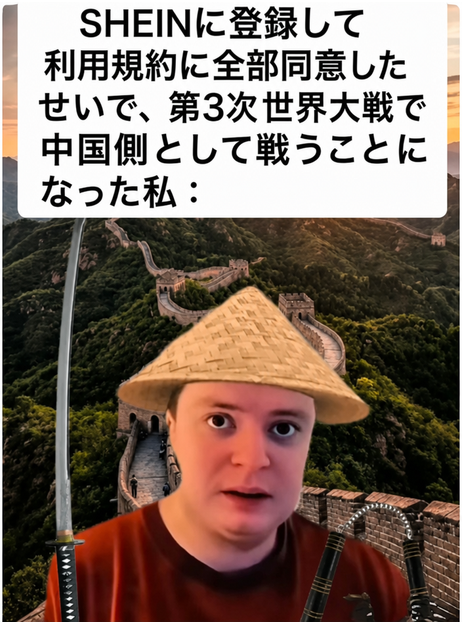 中国の万里の長城を背景に、菅笠をかぶり、刀とヌンチャクを持った人が合成されたミーム。キャプション：「SHEINに登録して利用規約に全部同意したせいで、第3次世界大戦で中国側として戦うことになった私：」