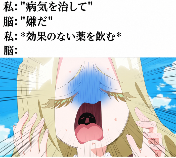 「私：病気を治して、脳：嫌だ、私：効果のない薬を飲む、脳：」というテキストと、パニックになって叫んでいるアニメキャラクターが描かれたミーム。