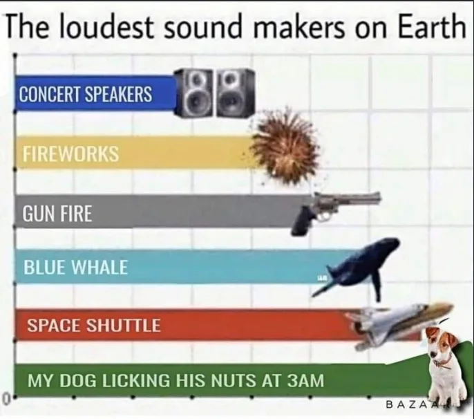 A chart titled 'The loudest sound makers on Earth' comparing sound levels of concert speakers, fireworks, gunfire, blue whale, space shuttle, and at the highest level, 'MY DOG LICKING HIS NUTS AT 3AM'.