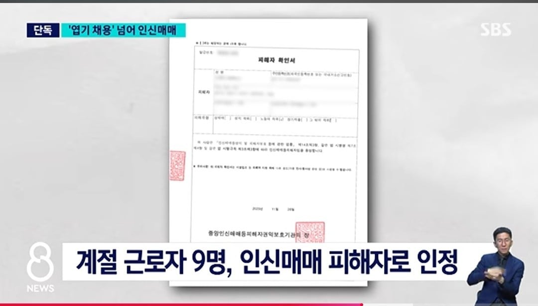 SBS 8ニュース報道画面のキャプチャ。中央人身売買等被害者権益保護機関の被害者確認書と、季節労働者9人が人身売買の被害者として認められたことを伝える字幕。
