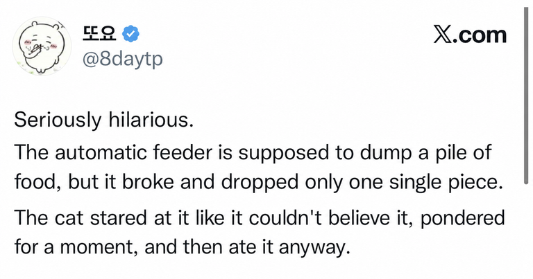 A Twitter (X) post screenshot about an automatic feeder breaking and dropping only one piece of kibble.