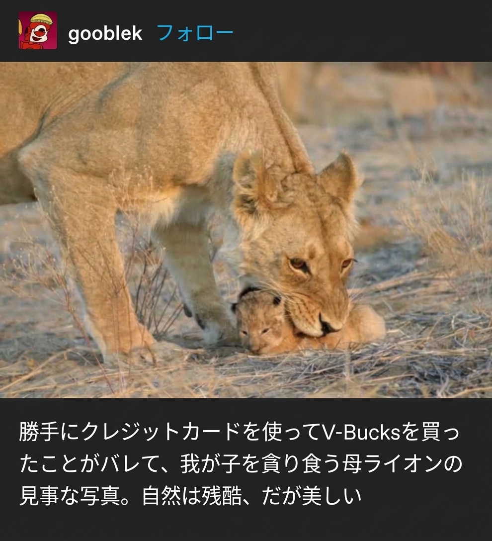 母ライオンが子ライオンを口にくわえている姿と、母親のクレジットカードを勝手に使ってV-Bucksを買った我が子を食べているというジョークを添えたTumblrの投稿画像。