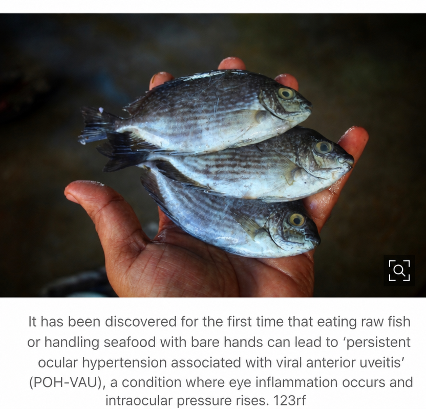 Photo of three small fish on a palm, with subtitles explaining POH-VAU disease.