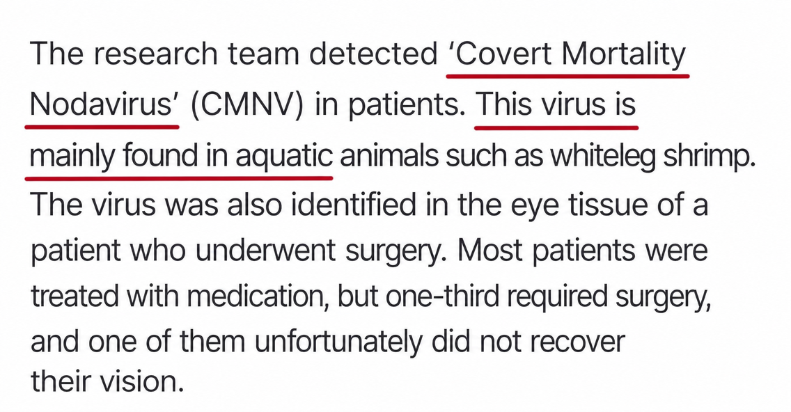 Capture of a news article dealing with CMNV virus detection from aquatic animals like whiteleg shrimp and cases of vision loss.