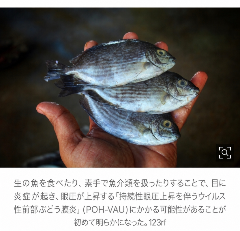 手のひらに3匹の小さな魚を乗せた写真とPOH-VAU疾患に関する説明字幕