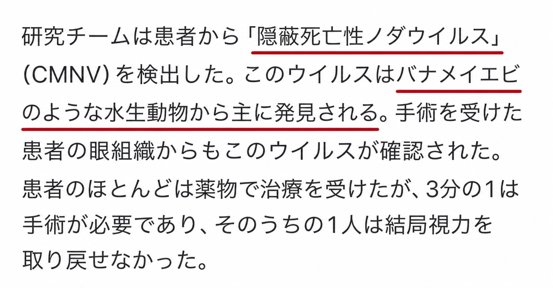 バナメイエビなどの水生動物由来のCMNVウイルス検出と視力喪失事例を扱う記事本文のキャプチャ
