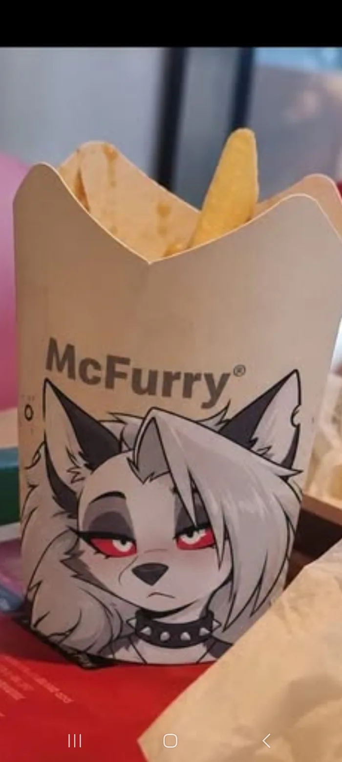 「McFurry」とラベル付けされたポテトウェッジが入ったファストフードの容器。ヘルヴァ・ボスのルナのイラストが描かれている。