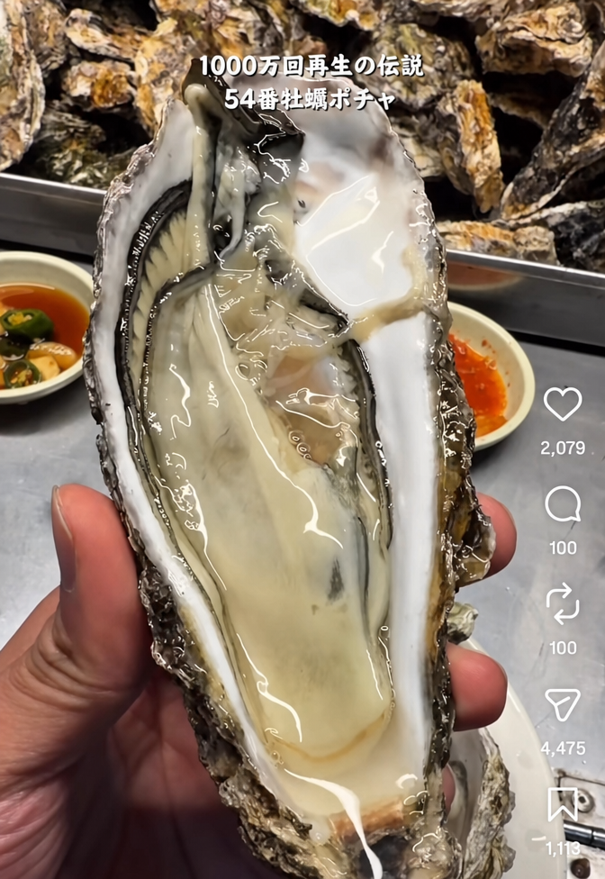 手のひらサイズの殻に入った、新鮮で大きな牡蠣を手に持っている様子。
