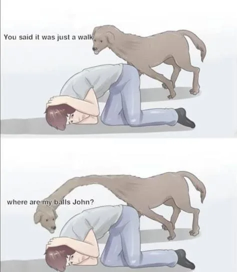 A two-panel comic where a dog confronts a cowering man, asking about a walk and then extending its neck to demand where its balls are.