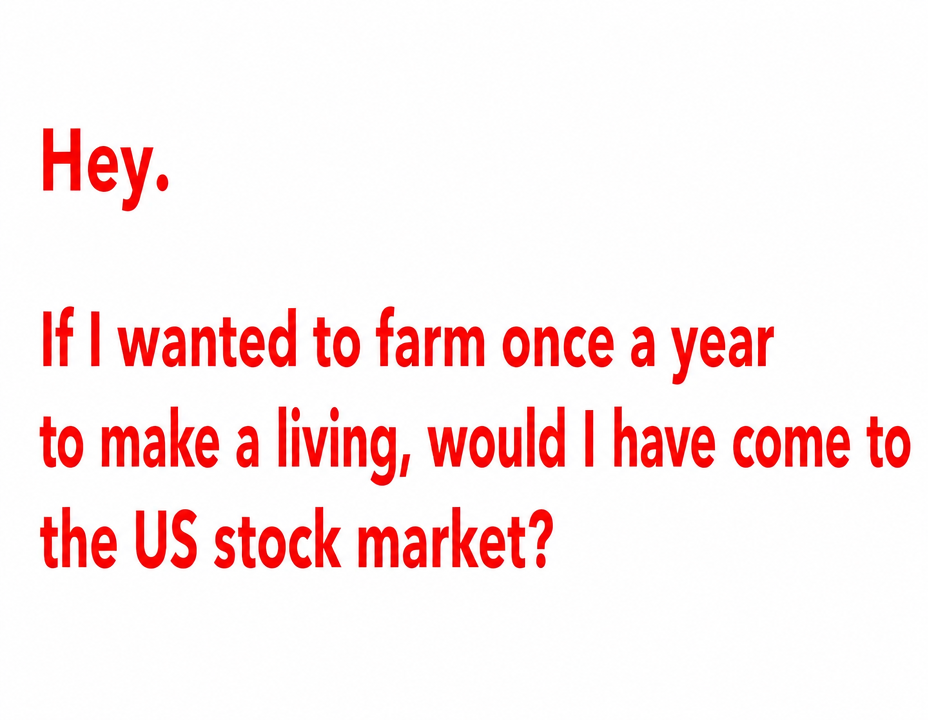 Image with red text on a white background: 'Hey. If I wanted to farm once a year to make a living, would I have come to the US stock market?'