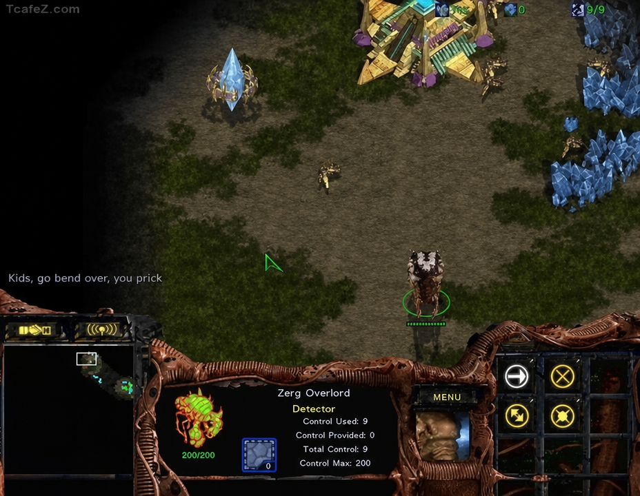 A StarCraft in-game screenshot where an opponent hurls insults in chat after spotting an Overlord scouting a Protoss base