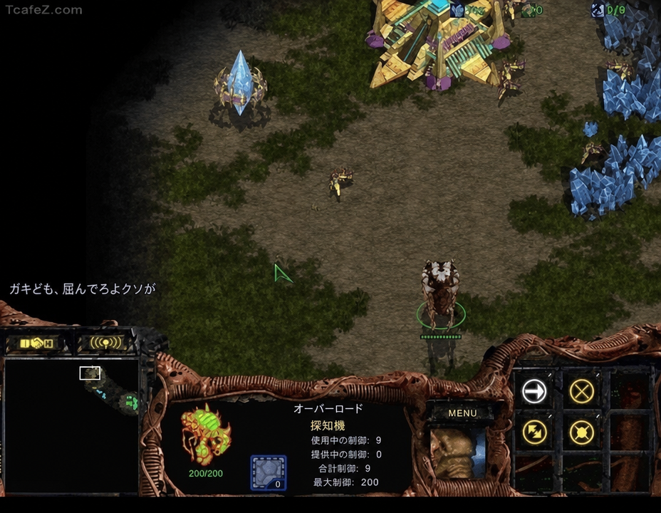プロトス基地を偵察するオーバーロードを見て相手がチャットで暴言を吐くスタークラフトのゲーム画面