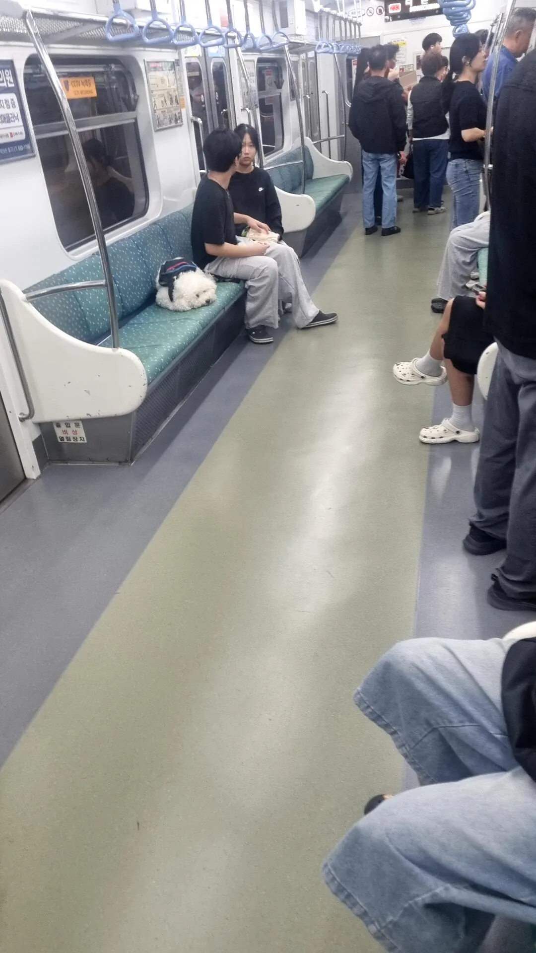 A white puppy lying down occupying a single subway seat, with its owner sitting next to it.