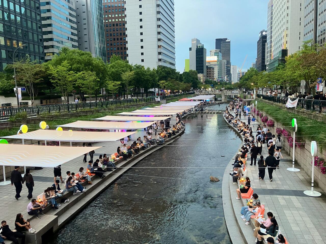A panoramic view of citizens gathered under a long canopy along Cheonggyecheon, enjoying reading.