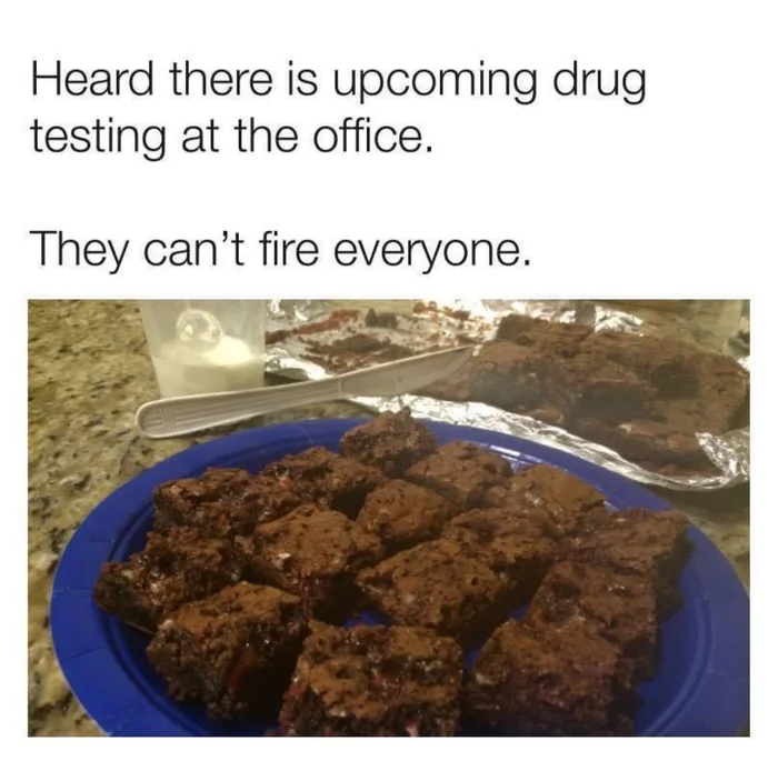 A meme featuring a tray of chocolate brownies with the text: 'Heard there is upcoming drug testing at the office. They can’t fire everyone.'
