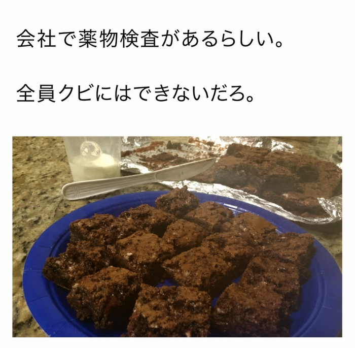チョコブラウニーのトレイと、「会社で薬物検査があるらしい。全員クビにはできないだろ」というテキストが書かれたミーム。