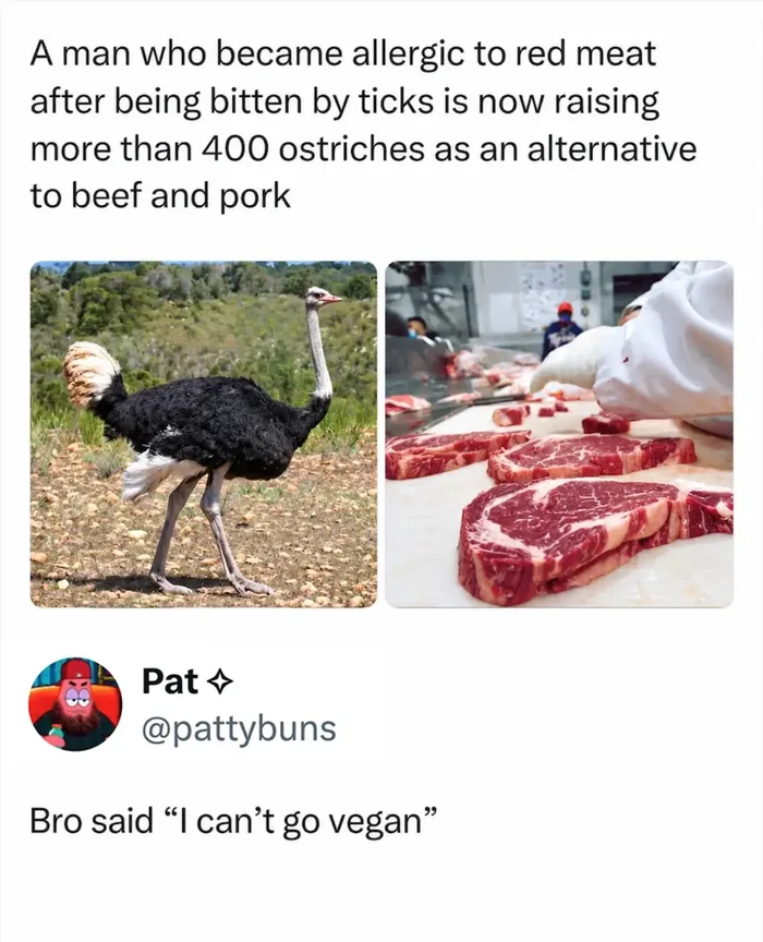 A social media screenshot reporting that a man who developed a red meat allergy after a tick bite is now raising over 400 ostriches as an alternative to beef and pork, accompanied by photos of an ostrich and red-looking ostrich meat, and a witty reply below reading 'Bro said "I can't go vegan"'.