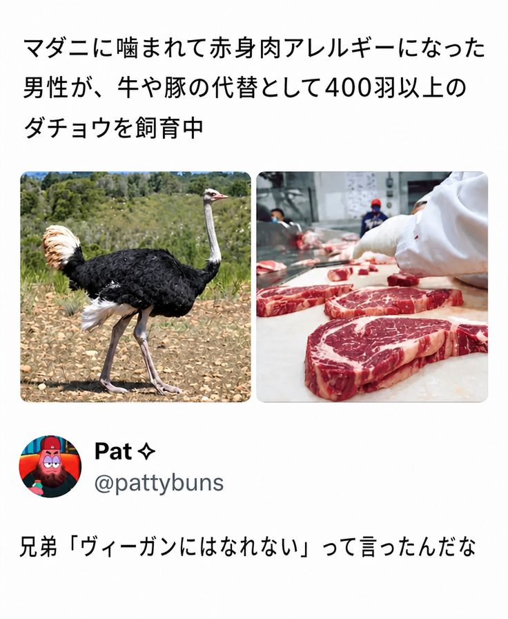 マダニに噛まれて赤身肉アレルギーになった男性が、牛や豚の代わりに400羽以上のダチョウを育てているという内容のSNS投稿のスクリーンショット。ダチョウと赤身のダチョウ肉の写真が添えられており、その下に「兄弟、『ヴィーガンにはなれない』って言ったんだな」というウィットに富んだリプライがある。